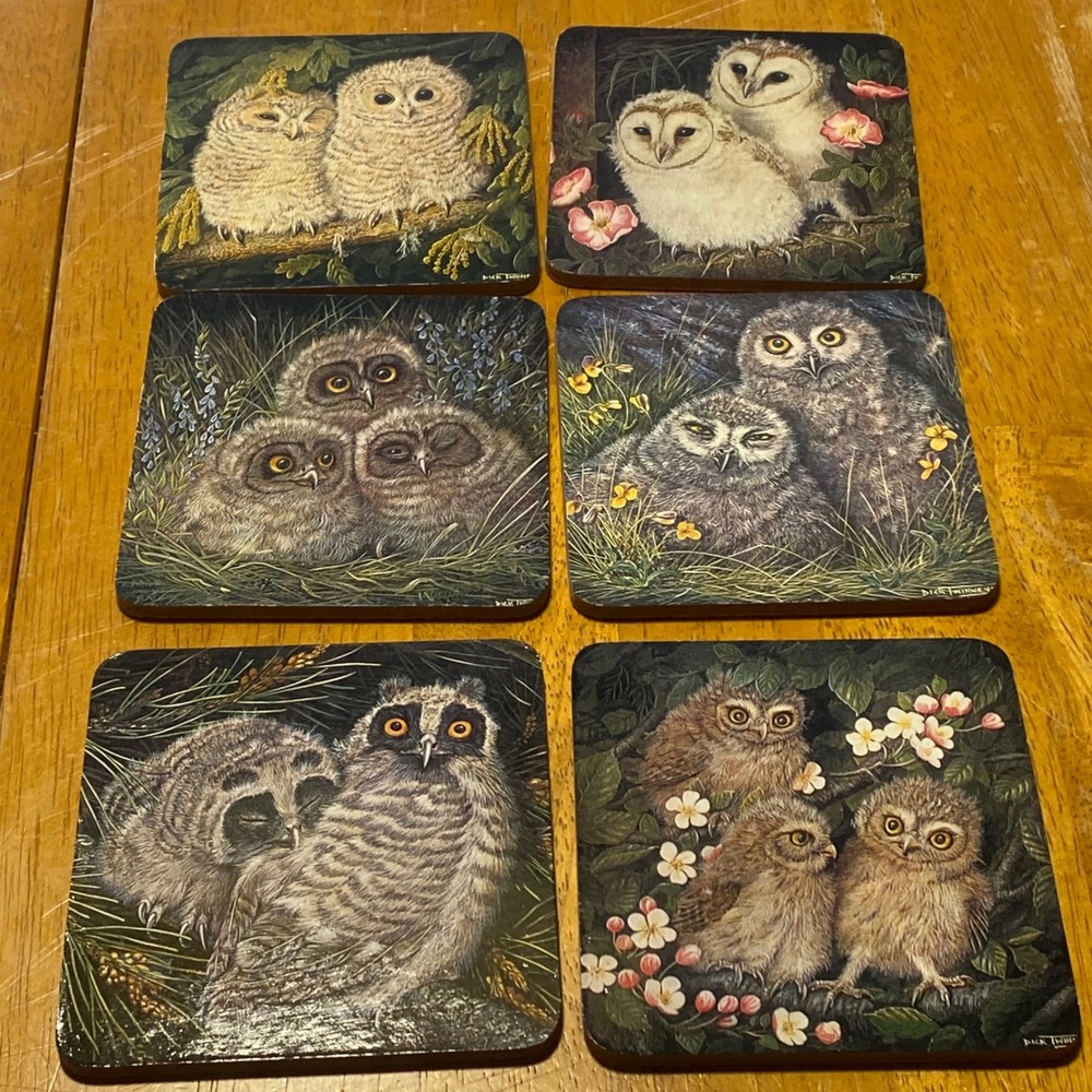 Dick Twinney Owl Coasters Set of 6 Vintage Wildlife Art Multi Color Owls